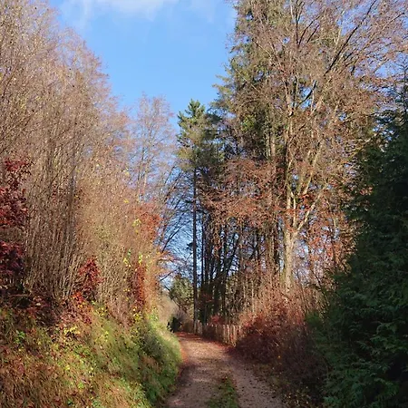 Eifelvilla Urbigkeit *