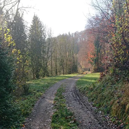Eifelvilla Urbigkeit Ferienhaus Schönecken