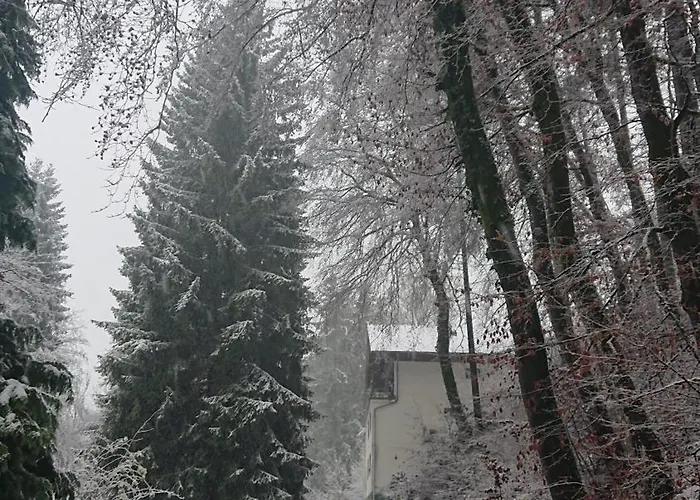 Eifelvilla Urbigkeit Holiday home