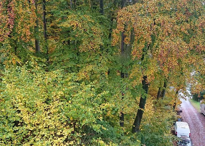 Eifelvilla Urbigkeit Holiday home