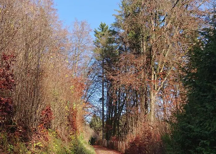 Eifelvilla Urbigkeit *