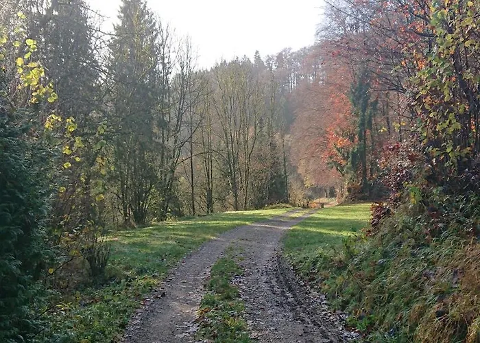 Eifelvilla Urbigkeit Holiday home Schonecken